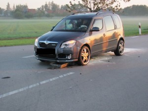 2015 Einsatz Nr. 115 - VU